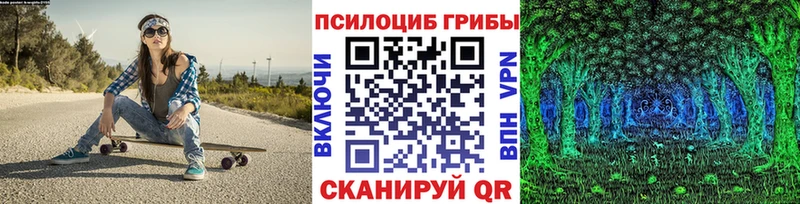 mega ссылки  Динская  Псилоцибиновые грибы GOLDEN TEACHER 